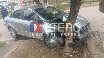 Chocó el auto contra un árbol tras intentar esquivar un perro