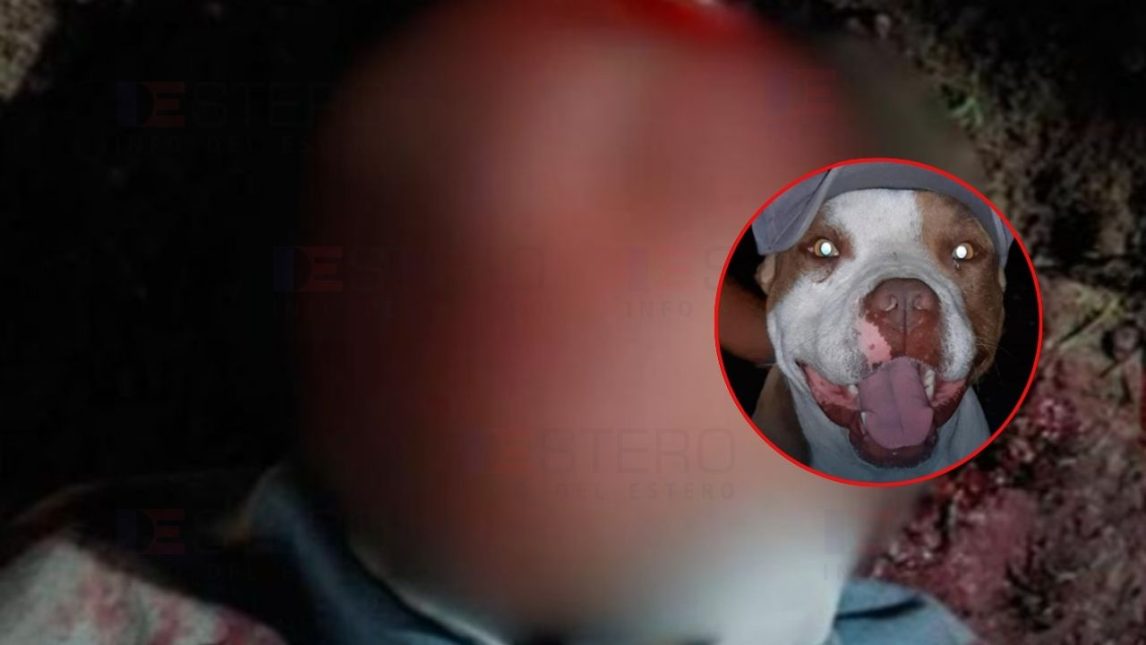 Delincuente fue desfigurado por un pitbull cuando ingresó a una vivienda del B° John Kennedy