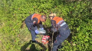 Tras una publicación de Info del Estero la policía logró dar con los delincuentes que desvalijaron una escuela en El Aibe