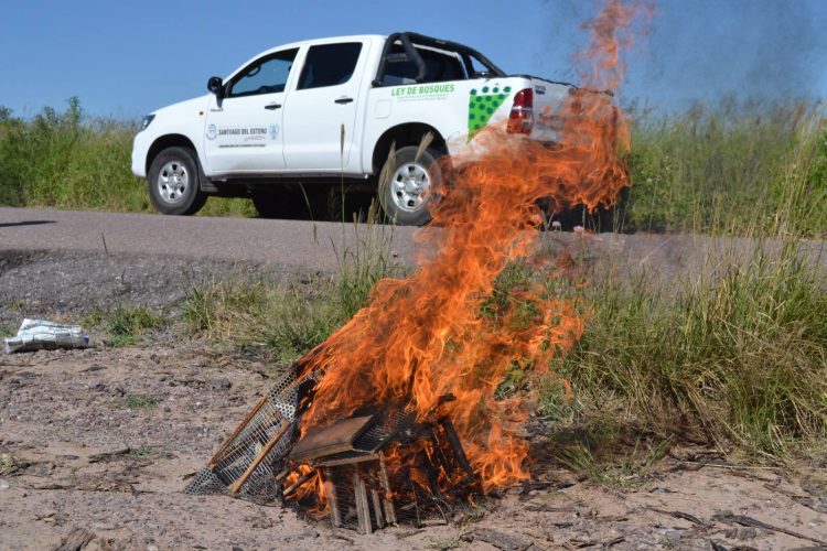 FOTOS: “Si quieres pájaros, planta árboles”, la campaña para cuidar la fauna santiagueña