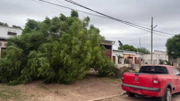 Fuertes vientos generan daños en Los Juríes y alertan a la población