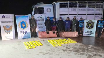Interceptan a un camión en la Ruta N°9 que transportaba más de 70 kilos de cocaína