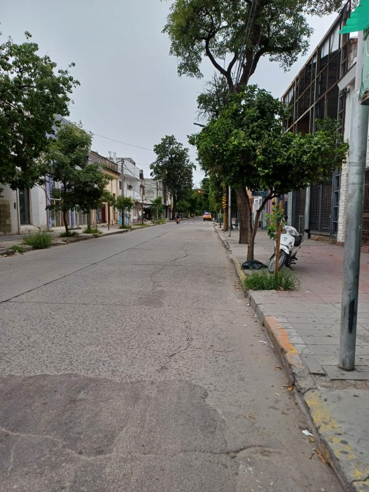 Hermosa mañana, ¿verdad?: se espera una jornada agradable y fresca para este domingo