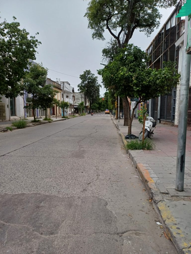 Hermosa mañana, ¿verdad?: se espera una jornada agradable y fresca para este domingo