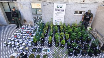 FOTOS: Secuestran armas, marihuana y documentos en un megaoperativo por tráfico de personas