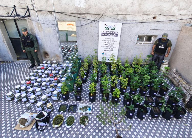 FOTOS: Secuestran armas, marihuana y documentos en un megaoperativo por tráfico de personas
