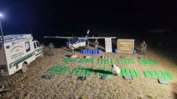 Cayó una avioneta narco con más de 320 kilos de cocaína: hay un gendarme herido