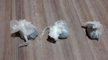 Tres alumnos fueron suspendidos de la escuela a la que asisten al descubrirse que tenían bagullos con droga
