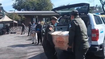 Gendarmería quemó más de 250 kilos de cocaína en Tucumán