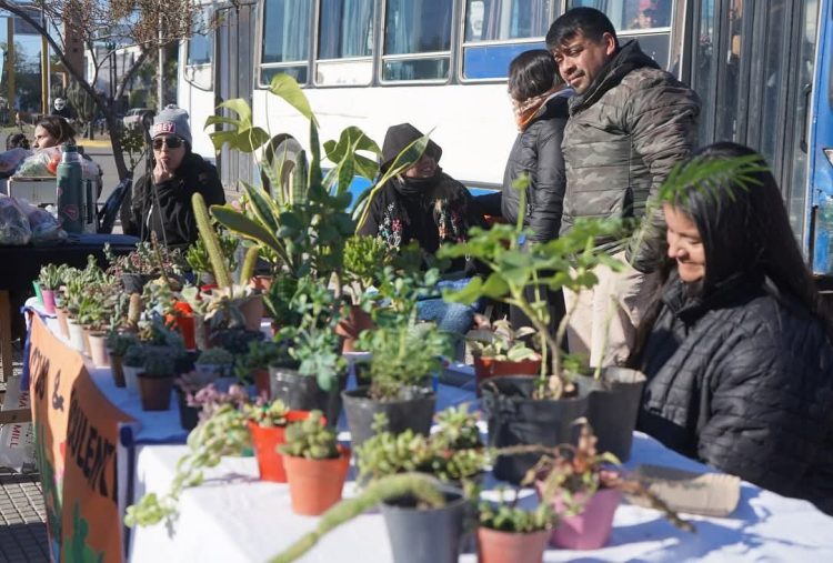 Se realizará una nueva edición del “Mercadito Saludable” en el Paseo Gabriel Ábalos