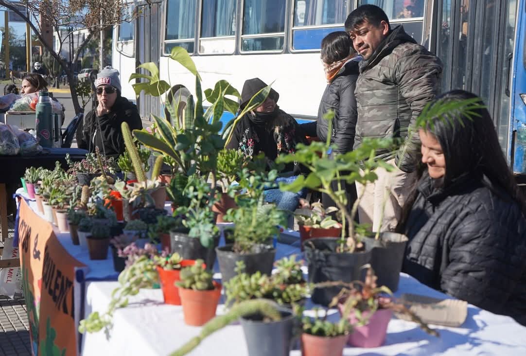 Se realizará una nueva edición del “Mercadito Saludable” en el Paseo Gabriel Ábalos