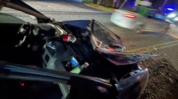 Grave accidente en la Ruta 1; un automovilista chocó contra un equino
