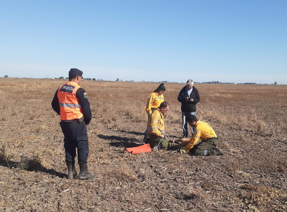 Rescatan a un Aguará Guazú con fracturas en sus patas delanteras y serias lesiones en el resto del cuerpo