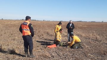 Rescatan a un Aguará Guazú con fracturas en sus patas delanteras y serias lesiones en el resto del cuerpo