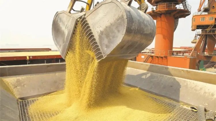Las exportaciones de Santiago del Estero superaron la media nacional y se destacan en la región