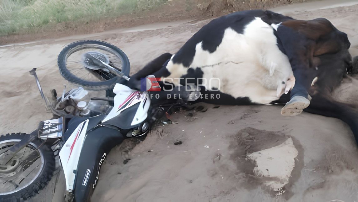 Peregrinos que volvían de Mailín sufrieron un grave accidente tras chocar contra una vaca