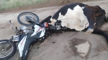 Peregrinos que volvían de Mailín sufrieron un grave accidente tras chocar contra una vaca