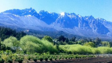 Acusan a una preceptora de “patinarse” US$50 mil que habían juntado alumnos para su viaje de egresados