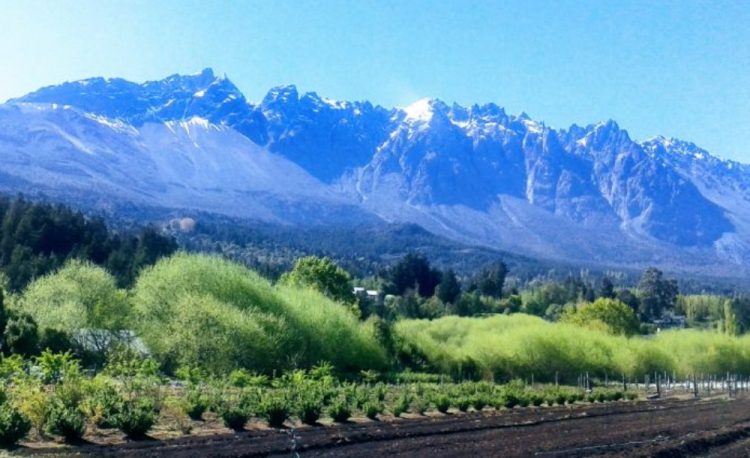 Acusan a una preceptora de “patinarse” US$50 mil que habían juntado alumnos para su viaje de egresados