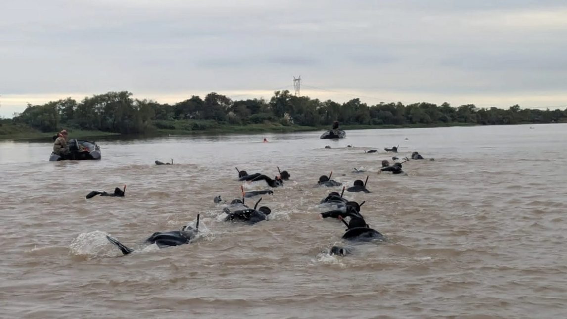 Murió un sargento del Ejército Argentino durante unas prácticas de buceo
