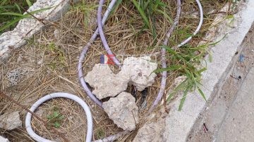 Peligro en la Costanera Norte Maradona: denuncian cables pelados y expuestos a metros de donde juegan niños