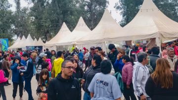 Una alemana radicada en la Ciudad relató su experiencia en un local de la Feria Artesanal: “Me duele el daño que estas actitudes le hacen a la imagen de Santiago”