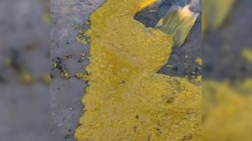 ¡De terror! Trabajadores se quedaron sin festejo porque se les cayó el locro al suelo