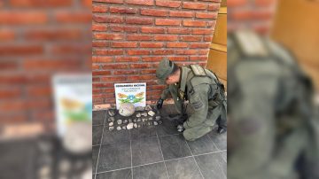 Hallan 33 fósiles en el baúl de un auto durante un operativo