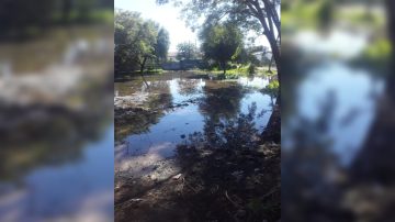 Vecinos del barrio Almirante Brown denuncian que llevan una semana sin agua