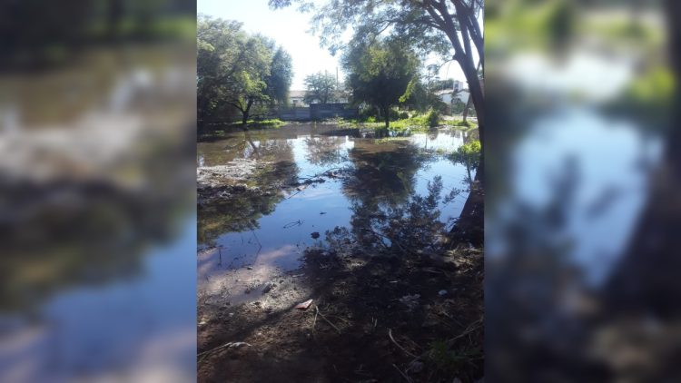 Vecinos del barrio Almirante Brown denuncian que llevan una semana sin agua