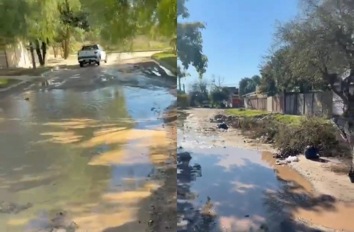 VIDEO. “No le molesta a nadie”, el reclamo de vecinos del barrio San Carlos