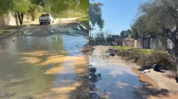 VIDEO. “No le molesta a nadie”, el reclamo de vecinos del barrio San Carlos