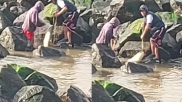 Depredación en Termas: aprovecharon el corte de agua del embalse para capturar peces