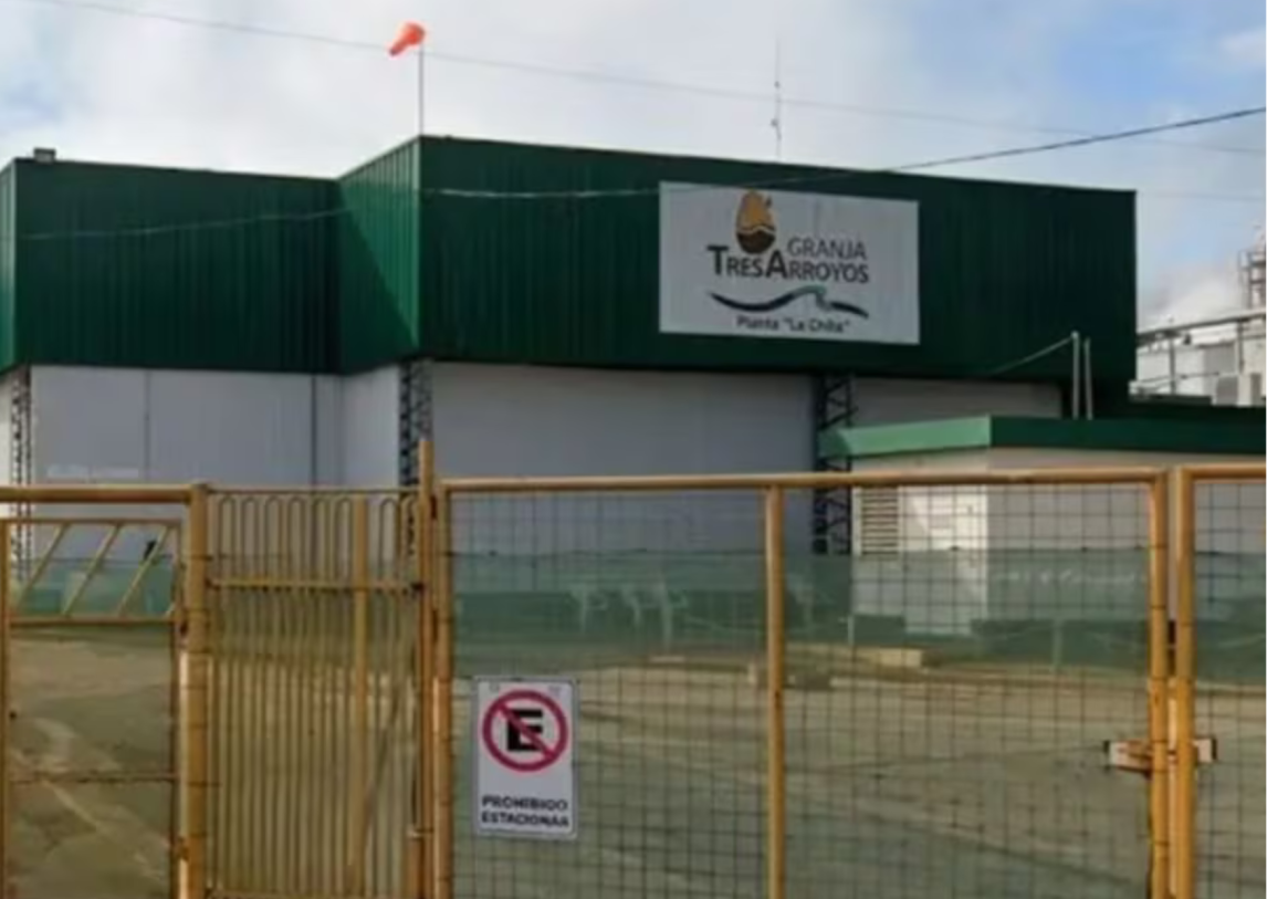 Crisis en la principal avícola del país: cerró una planta y peligra el trabajo de 950 personas