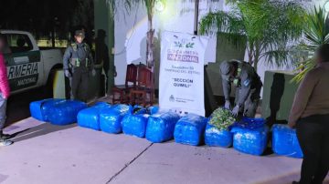Interceptan en Santiago del Estero un tour de compras con más de 700 kilos de hojas de coca