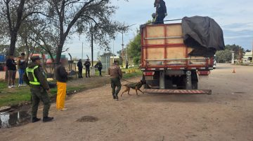 Hallan 1.100 litros de éxtasis líquido ocultos en un camión que cruzaba el país