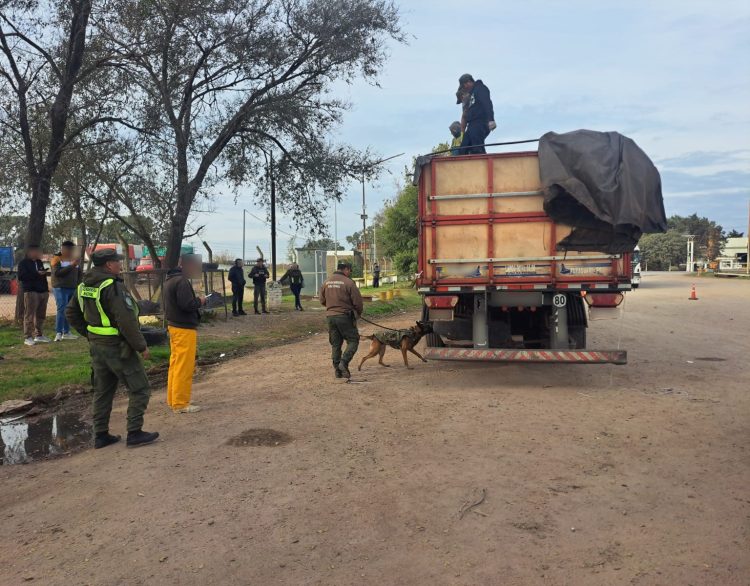 Hallan 1.100 litros de éxtasis líquido ocultos en un camión que cruzaba el país