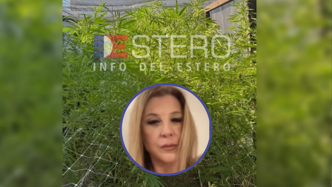“Por la cantidad de plantas, ponen en duda que el cultivo fuera medicinal”