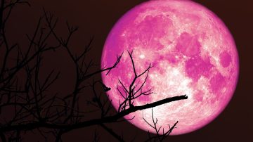 Luna de fresa: a qué hora se podrá ver desde Santiago del Estero este lunes 29 de junio 2026