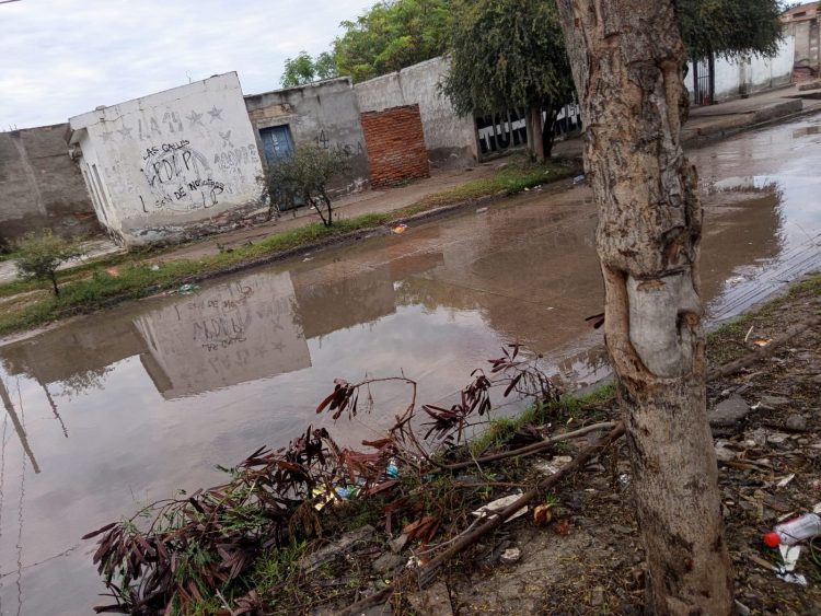 Vecinos del barrio Primera Junta denuncian calles intransitables y focos de contaminación
