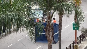 Frenética persecución policial para atrapar al conductor de la camioneta involucrada en el fatal accidente en Avenida Belgrano