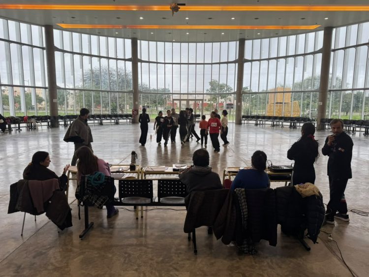Comenzaron las audiciones para la Velada del 24 de Julio y cientos de artistas buscan un lugar en la vigilia