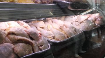 Más de $85 millones: ampliaron la denuncia contra comerciante que pagó mercadería avícola con cheques falsos