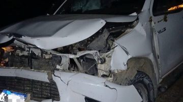 Camioneta chocó contra un vacuno en la Ruta Nº 92