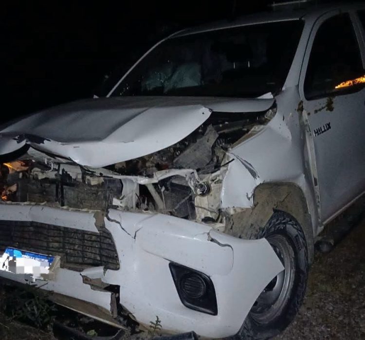 Camioneta chocó contra un vacuno en la Ruta Nº 92