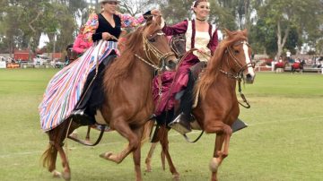 La Banda recibirá una nueva edición del Concurso Provincial del Caballo Peruano de Paso