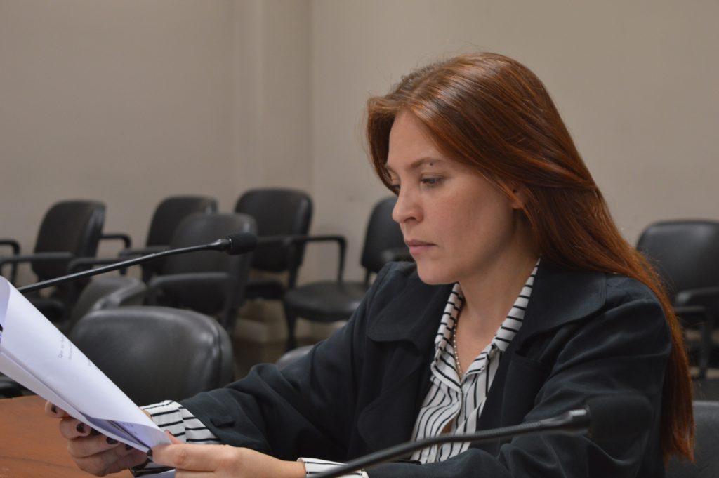 La fiscal de Cámara Erika Leguizamón dio un paso al costado y presentó su renuncia