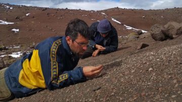 Histórico hallazgo en Santa Cruz: descubren una nueva especie de dinosaurio raptor