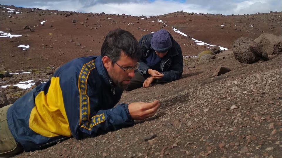 Histórico hallazgo en Santa Cruz: descubren una nueva especie de dinosaurio raptor
