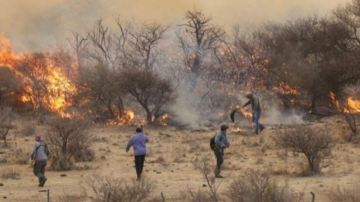 Incendios forestales: advierten que las heladas pueden convertir el pasto en combustible